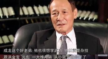 陈惠敏 爆料成龙视频大全,陈惠敏独家爆料，揭秘巨星幕后故事