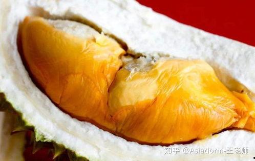 榴莲鱼臭蛋爆料视频,揭秘网络爆红视频背后的惊人真相